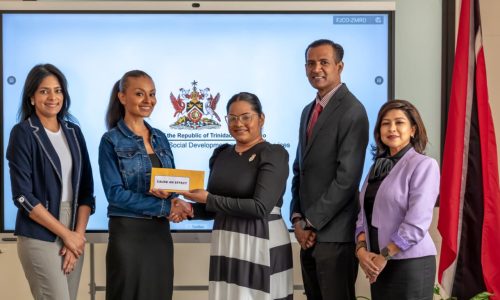 Cause-An-Effect-Grant-Presentation-2