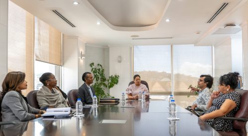 Cerebral-Palsy-advocate-visits-Minister-Mohit3